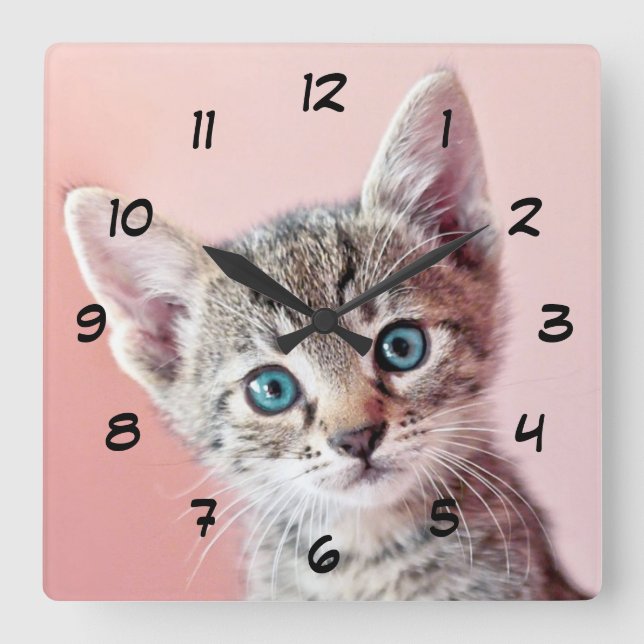 Cute kitten with blue eyes. square wall clock (Front)