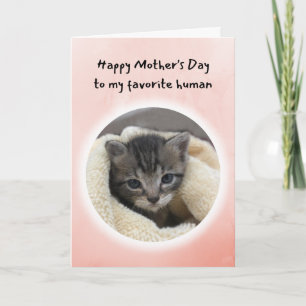 Cute Kitten You're My Favourite Human Mother's Day Card