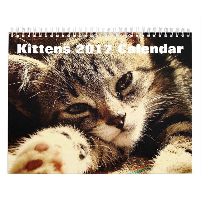 Cute Kittens 2017 Calendar (Cover)