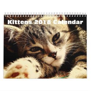 Cute Kittens 2018 Calendar
