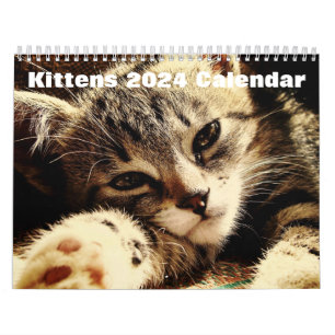 Cute Kittens 2024 Calendar