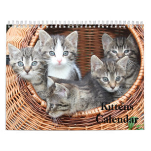 Cute Kittens 2026 Bengal Tiger Calendar