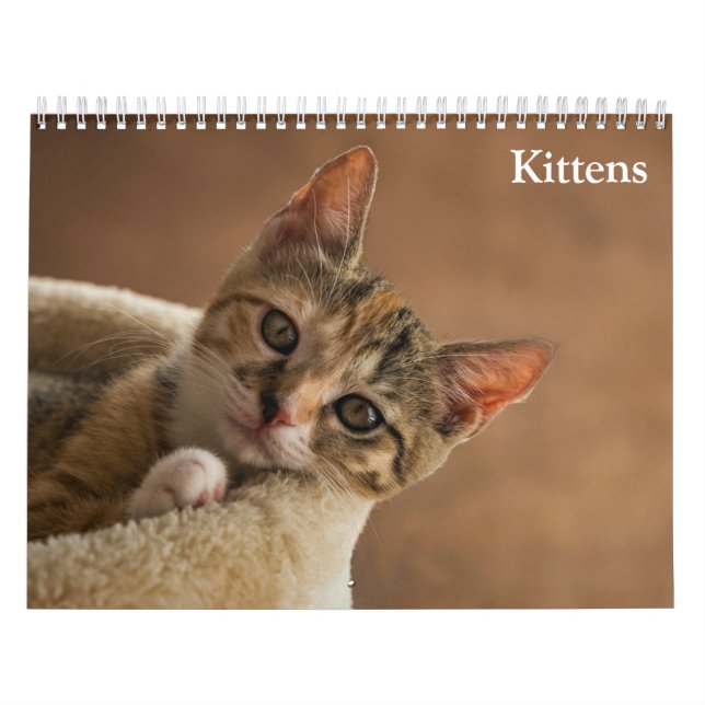 Cute Kittens 2026 Calendar (Cover)