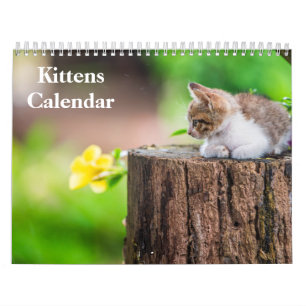 Cute Kittens 2027 Bengal Tiger Calendar