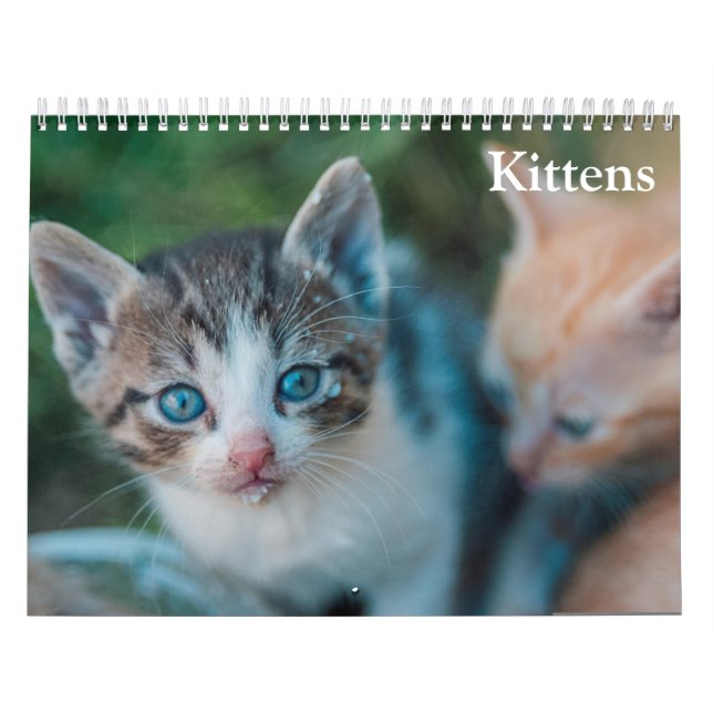 Cute Kittens 2027 Calendar (Cover)