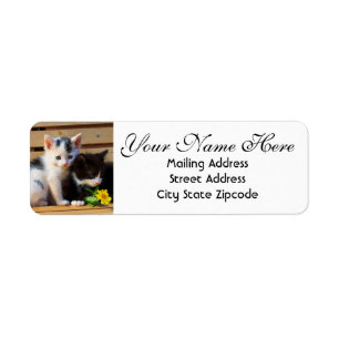 Cute Kittens and Flowers Return Address Return Address Label