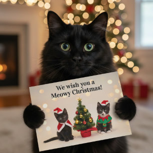 Cute kittens at Christmas Holiday Card