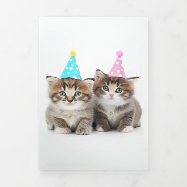 Cute Kittens Birthday Card 2 (Cover)