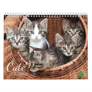 Cute Kittens Cat Pet Photo Calendar