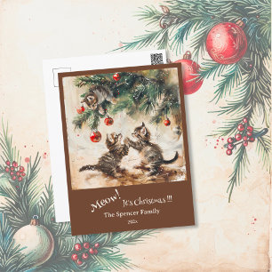 Cute Kittens Christmas Tree Holiday Postcard