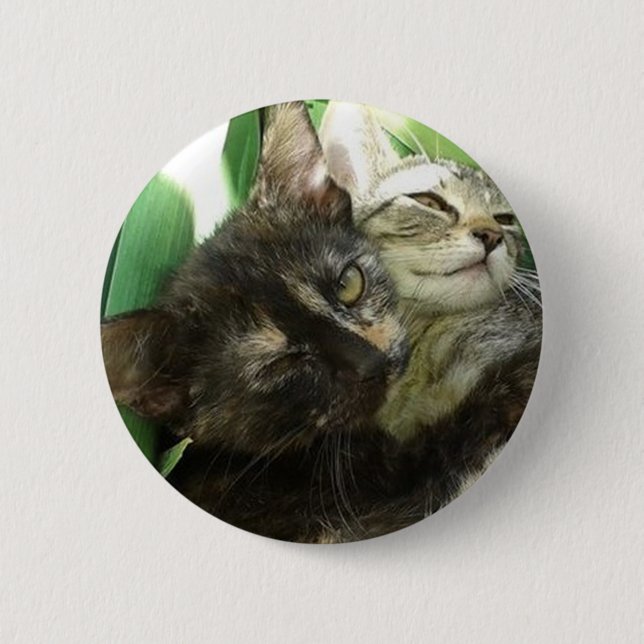 Cute kittens cuddling 6 cm round badge (Front)