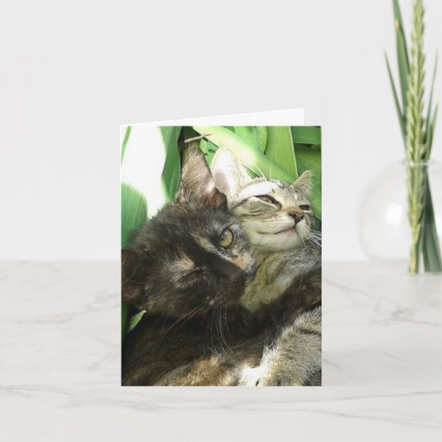 Cute Kittens Cuddling Birthday card (Front)