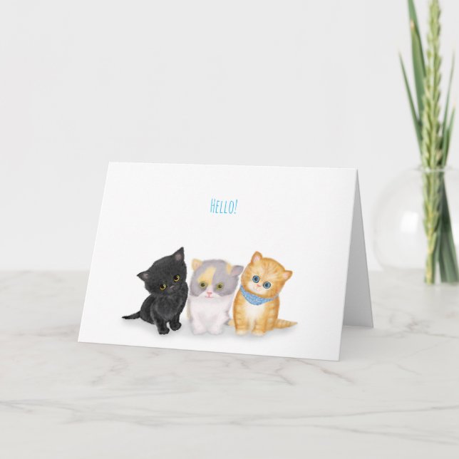 Cute kittens hello card (Front)