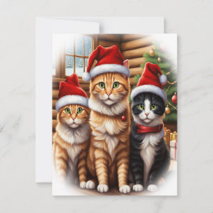 Cute Kittens Holiday Card
