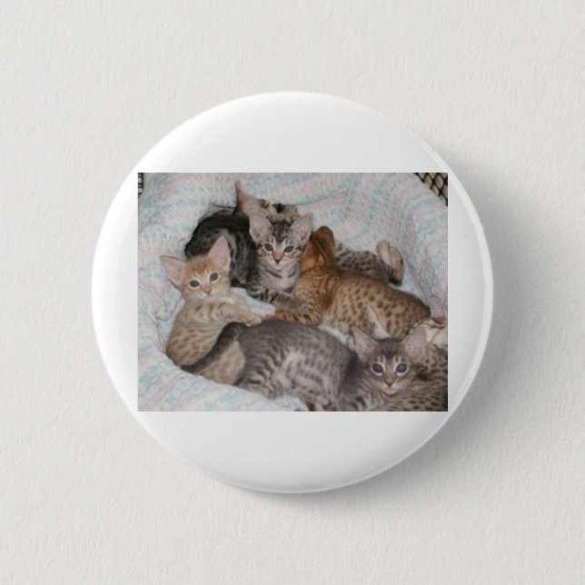 CUTE KITTENS IN A BASKET 6 CM ROUND BADGE (Front)
