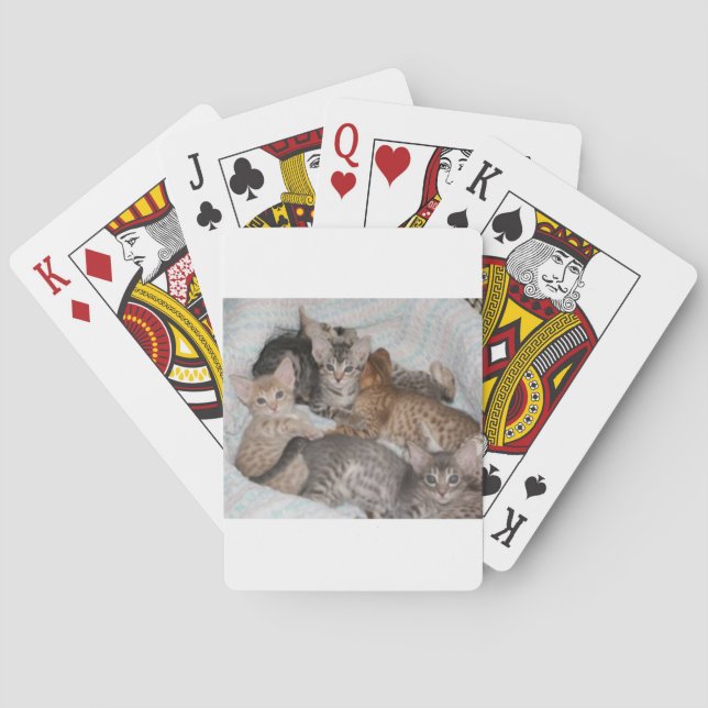 CUTE KITTENS IN A BASKET PLAYING CARDS (Back)