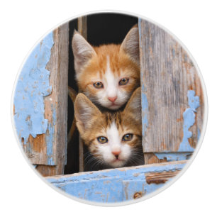Cute Kittens in a Vintage Window, Decorative Ceramic Knob