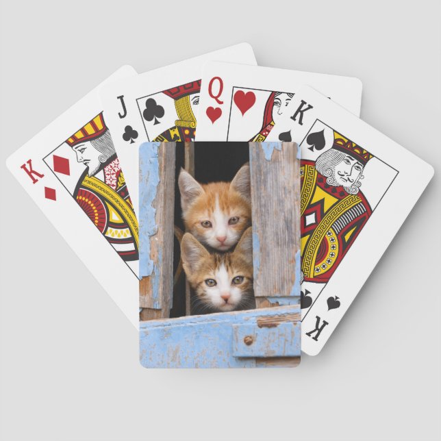 Cute Kittens in a Vintage Window, Playing Cards (Back)
