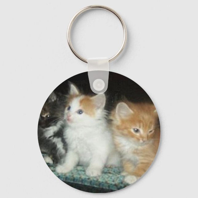 Cute Kittens Keychain (Front)