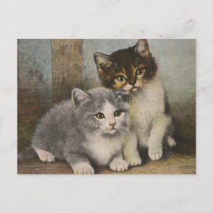 Cute Kittens Postcard