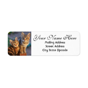 Cute Kittens Return Address Label