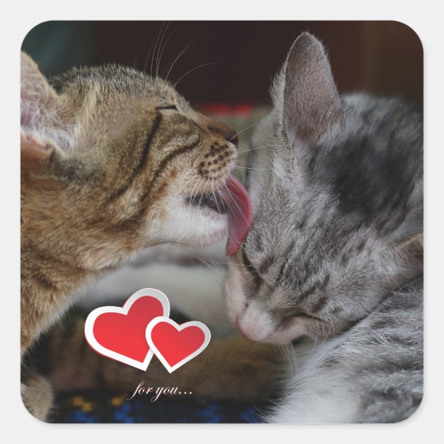 Cute kittens square sticker (Front)