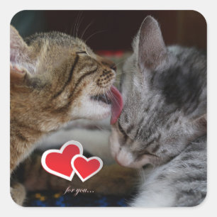 Cute kittens square sticker