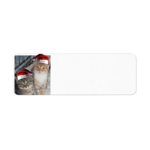 Cute Kittens wearing Santa Claus Hats Return Address Label