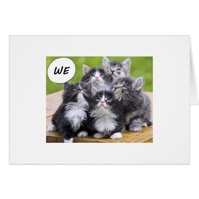CUTE KITTENS WISH SOMEONE A HAPPY BIRTHDAY (Front Horizontal)