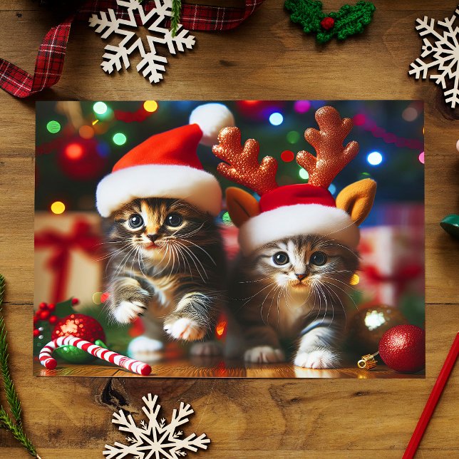 Cute kittens with Santa Claus and reindeer hats 4 Postcard (Creator Uploaded)
