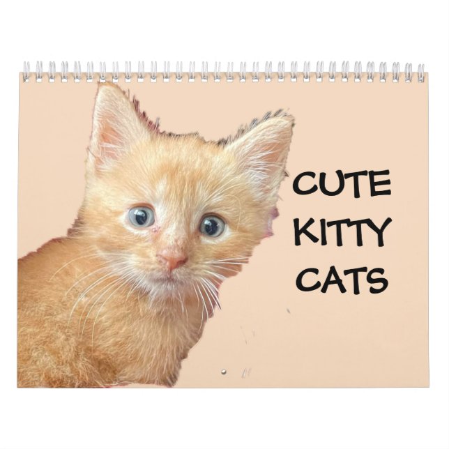 CUTE KITTIE CATS calendar (Cover)