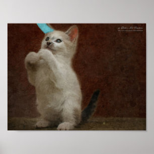 Cute Kittie Poster