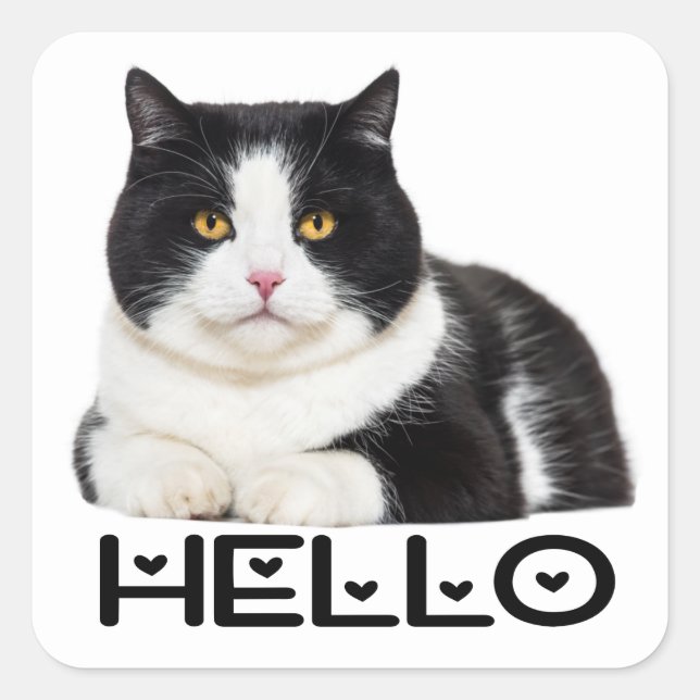 Cute Kitty Black White Kitten Hello Cat Square Sticker (Front)