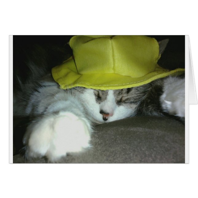 CUTE KITTY CAT (Front Horizontal)