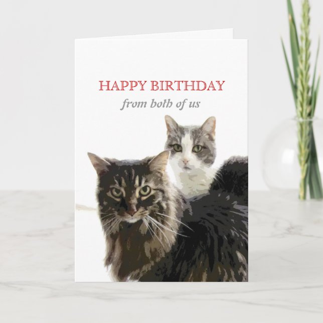 cute kitty cat Birthday Card from both of us (Front)