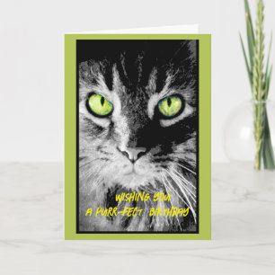 cute kitty cat birthday photo art humourous card