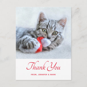 Cute Kitty Cat Biting Red Santa Hat Xmas Thank You Postcard