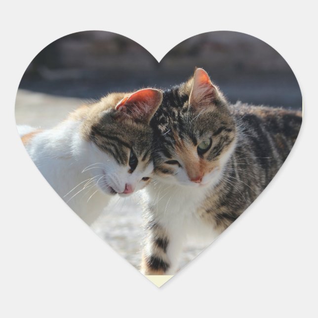 Cute Kitty Cat Love Cuddles Heart Sticker (Front)