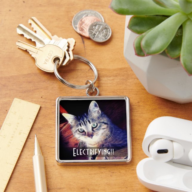Cute Kitty In The Rafters Close-Up Photograph Key Ring (Desk)