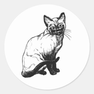 Cute Kitty Kitten Illustration Black White Cat Classic Round Sticker