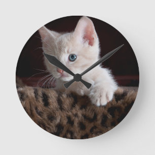 Cute Kitty Looking Round Clock