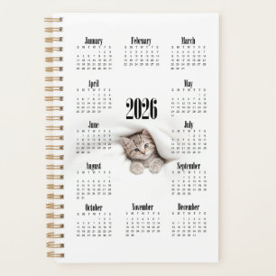 Cute kitty planner