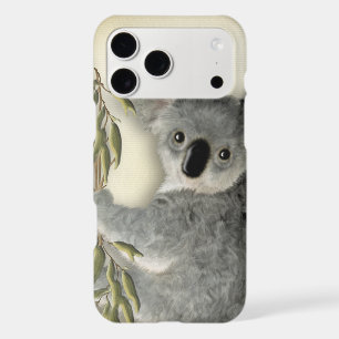 Cute Koala