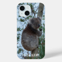 Cute Koala Animal Climbing in a Tree Australia