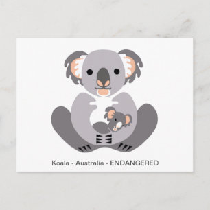 Cute KOALA -Animal lover - Wildlife - Marsupial Postcard