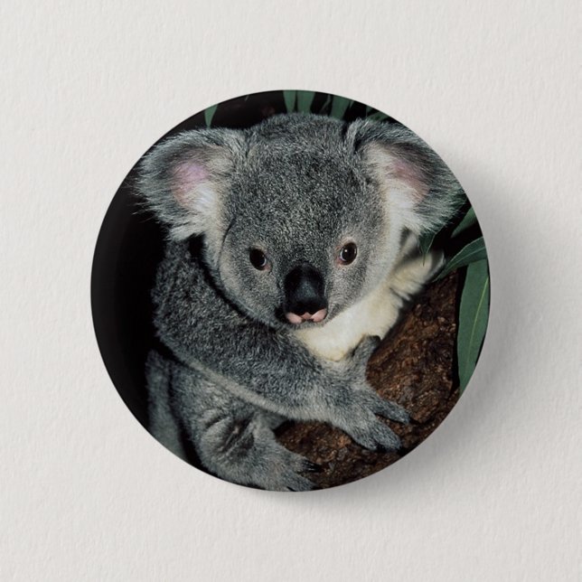 Cute Koala Bear 6 Cm Round Badge (Front)