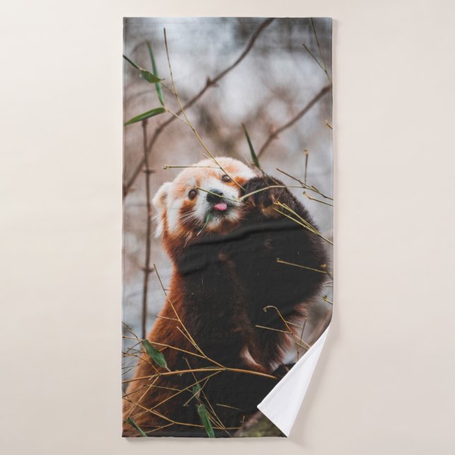 CUTE KOALA BEAR BATH TOWEL (Bath Towel)