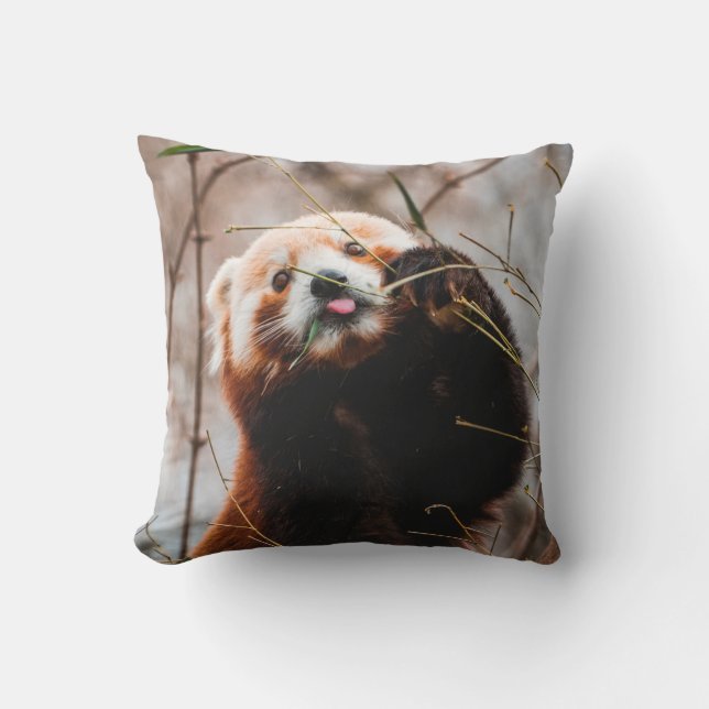 CUTE KOALA BEAR CUSHION (Front)