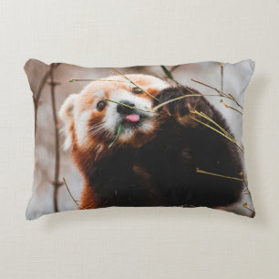 CUTE KOALA BEAR DECORATIVE CUSHION