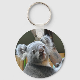 "Cute Koala Bear" design  gifts and products Key Ring
